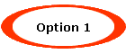 Option 1