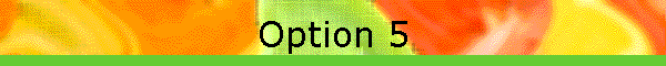 Option 5