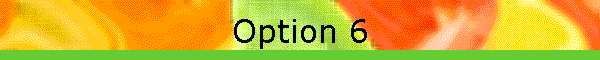 Option 6