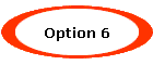Option 6